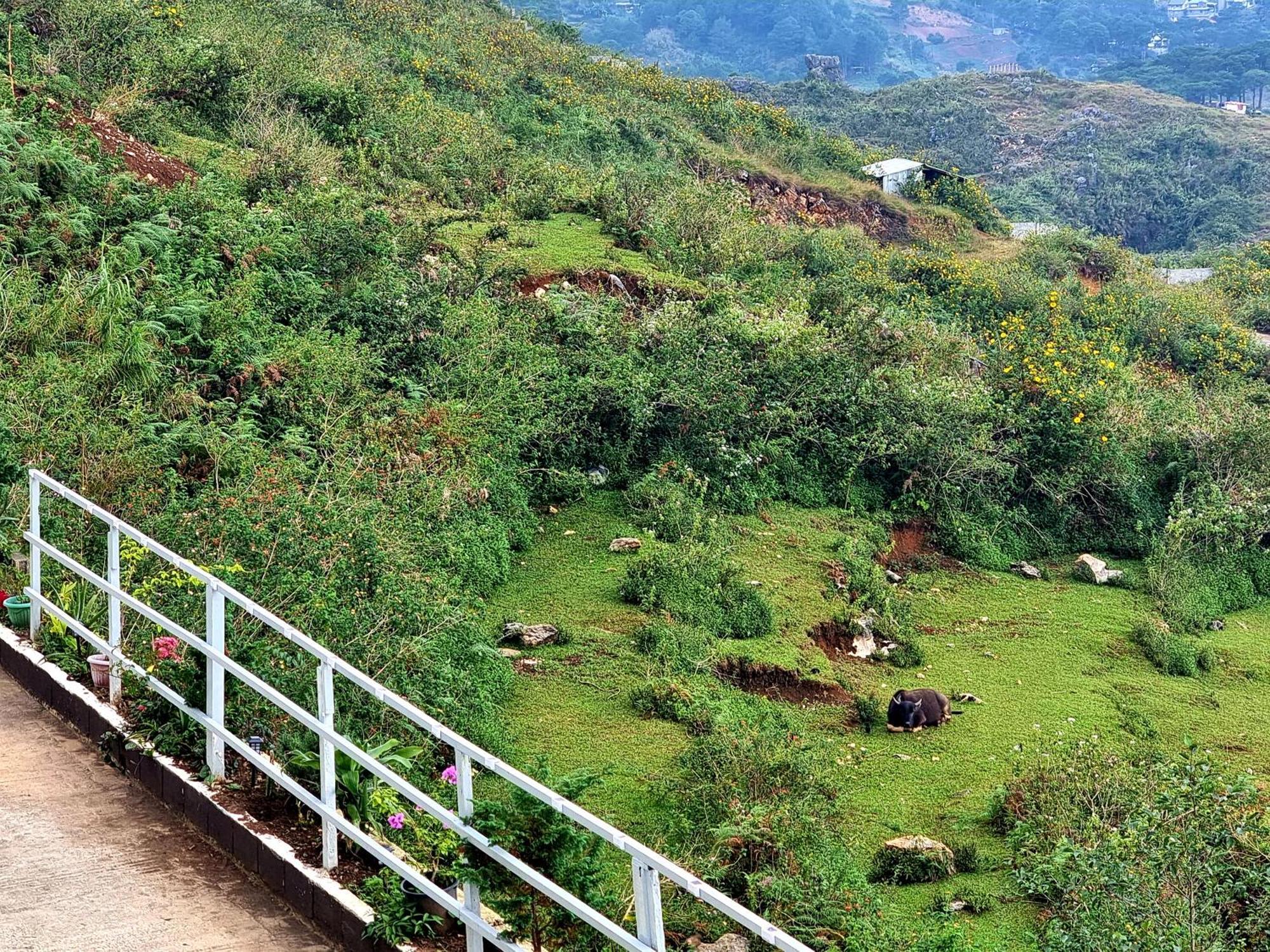 Wanay'S Rocky Mountain Homestay Baguio City Εξωτερικό φωτογραφία